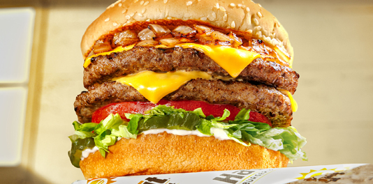 Close-up photo of Habit Burger & Grill burger and fries